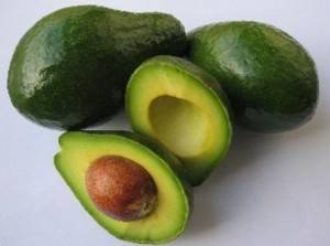 Avocado1