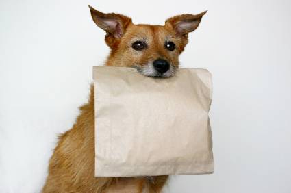No allo spreco con la Doggy Bag